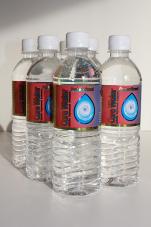 Core Water™ (16.9 fluid oz.) 6 bottle value pack